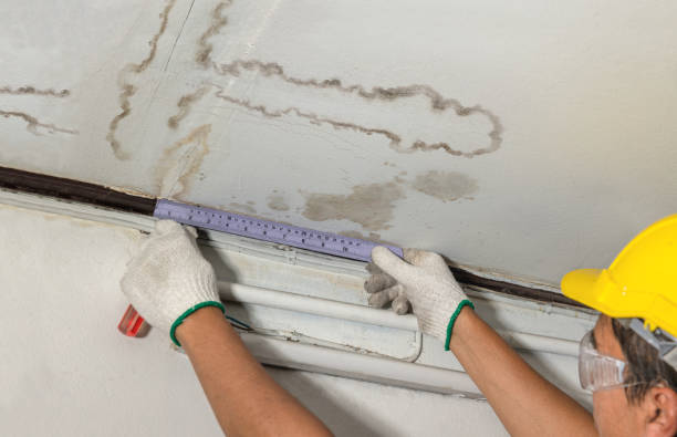Reliable Water Damage Repair contractor in Dover, NJ by Hirex Water Damage
